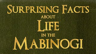 Life in the Mabinogi [upl. by Imis370]