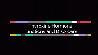 Functions of Thyroxine Hormone amp Disorders [upl. by Rehpotsirhk953]