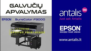 Epson SureColor F3000  GALVUÄŚIĹ˛ APVALYMAS [upl. by Iggep]