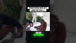 Monkey behaved more like a human than speed 🤣 ishowspeed viralreels fyp [upl. by Vincent]