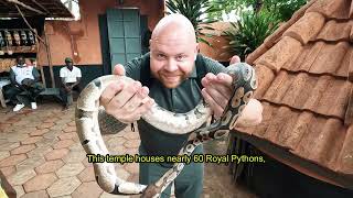 INSIDE Benins 🐍 SNAKE TEMPLE Temple Des Pythons  🇧🇯 [upl. by Zilber184]