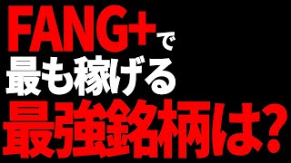 【実名公開】FANG最強銘柄が明らかに！驚愕の成長率と技術革命の真実 [upl. by Ettellocin]