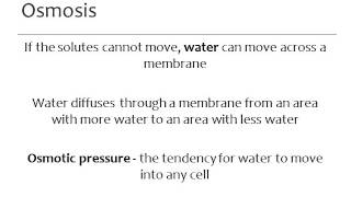 BI177 Chapter 5 Biological Membranes  Part 3 of 3 [upl. by Deeanne599]