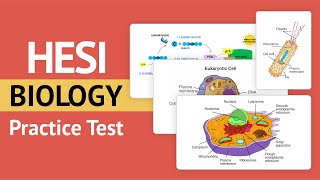 Hesi A2 Biology Review  HESI A2 Biology Practice Test ALL Answers Explained [upl. by Nonac]