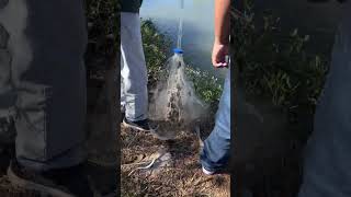 Cast netting bait at the outflow fishing texascoast shorts [upl. by Jovi780]