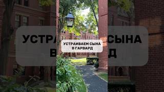 Устраиваем сына в Гарвард [upl. by Stretch262]