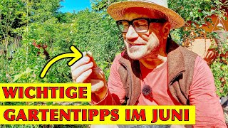 Der SelbstversorgerGarten im Juni Mit Hühnern Puten Hochbeeten und vielen Gartentipps [upl. by Eiuqnom]