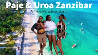 Episode 7  The Ultimate Road Trip To SouthEast Zanzibar  Paje Beach amp Uroa Beach [upl. by Rafael]