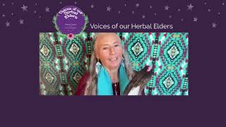 Brooke Medicine Eagle  Voices of Our Herbal Elders Ep 7 [upl. by Mellins]