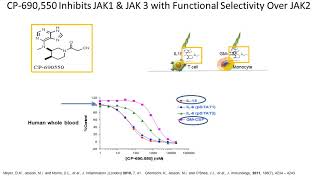 CYTOKINE SIGNALING Are all JAK inhibitors the same [upl. by Kimon]