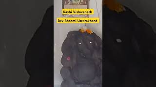 Kashi Vishwanath llshorts shortvideo viral youtubeshorts short ytshorts trending [upl. by Farland]