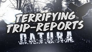 Terrifying Trip Reports 1  Datura 3 Days of Insanity [upl. by Rogovy]