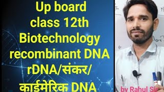 class 12th biotechnology genetic engineering recombinant 🧬 DNArDNA संकरकाईमेरिकपुनर्योगजDNA [upl. by Cita]