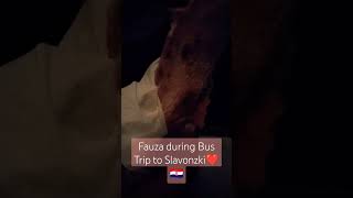 FLIX Bus Travel from Zagreb to Slavonija Croatia ❤️🇭🇷 travelvlog bus slavonskibrod foryou [upl. by Donelu]