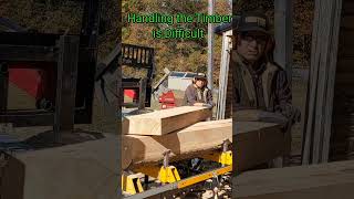 Handling Big Wood are You Up for the Challenge sawmill [upl. by Shawna]