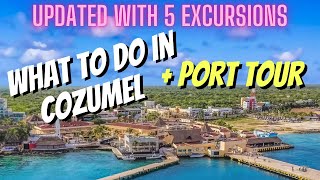 NEW Cozumel Cruise Port Tips  Excursions [upl. by Maurise]