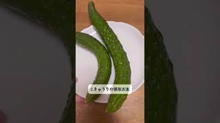 野菜の保存方法🥒🍅 野菜 保存方法 夏野菜 きゅうり トマト 裏技 ライフハック MATE メイト わたしの節約 shorts [upl. by Beka299]