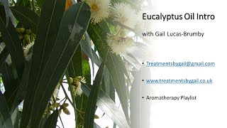 Eucalyptus Oil Intro with Gail LucasBrumby [upl. by Wandis]