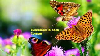 Cuidemos la casa comun [upl. by Gudrin]