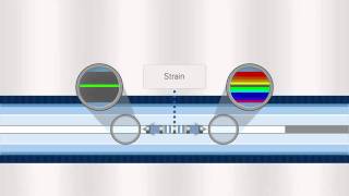 FBG Optical Sensing Overview [upl. by Dragelin]