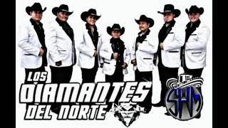 Mi Soldadita  Los Diamantes Del Norte En Vivo [upl. by Springer658]