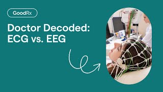 EEG vs ECG Explained  GoodRx [upl. by Nnairak]