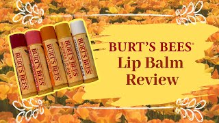 Burts Bees Lip Balm review  Vlogmas 2018 Day 11 [upl. by Darnoc814]