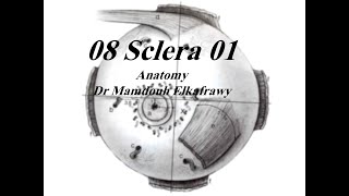 08 ScleraampLimbus part1 الكفراوي أناتومى Elkafrawy Anatomy Embryology [upl. by Ayila]