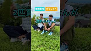 テレビもねえラジオもねえ所から来た2人の会話 ニシコリ 青森県民 ブラジル人 [upl. by Ellivro]