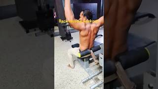 Back muscle exercise [upl. by Tavis]