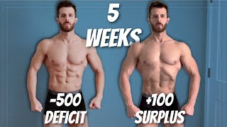 Mastering Reverse Dieting My Journey To Staying Lean After Cutting [upl. by Halihs]