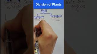 Division of Plants  Classification of Plant Kingdom [upl. by Ahseym240]