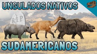 Ungulados nativos sudamericanos SANUs ¿Qué eran y a qué grupos estaban relacionados [upl. by Negeam651]