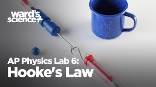 AP Physics Lab 6 Hookes Law  Conservation of Energy [upl. by Nuarb]