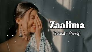 Zaalima Slowed  Reverb Singer by Arijit Singh amp Shreya Ghoshal [upl. by Sutniuq]