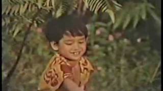 CampH Sugar Commercial quotIslandquot 1974 [upl. by Anilok278]