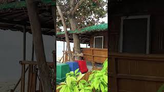 R cottage stay  Stilts resort calataganbatangas expatlife vacation batangas philippines [upl. by Frentz790]