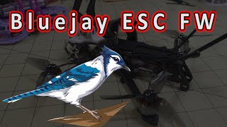 How to Flash Bluejay ESC Firmware  ESC 🎵 [upl. by Elleirbag]