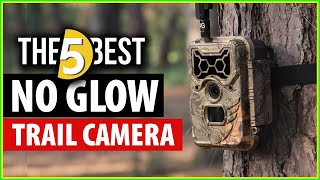 Top 5 Best No Glow Trail Camera in 2024  According to Product Testers [upl. by Madonia]