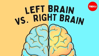 The left brain vs right brain myth  Elizabeth Waters [upl. by Pentheas]