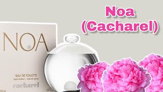 PERFUME NOA  CACHAREL  RESENHA [upl. by Barfuss342]