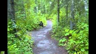 Talkeetna Lakes Trail Alaska Wilderness Trek [upl. by Rafaelia]