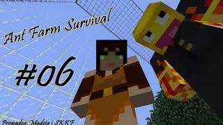 Ant Farm Survival 06 [upl. by Nickles]