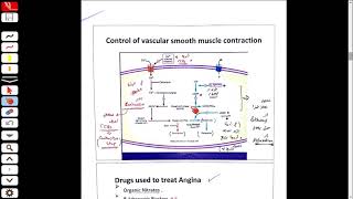 Angina 1 [upl. by Berthoud]