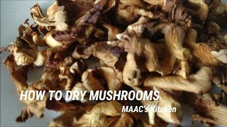 How To Dry Mushrooms With Gas Oven [upl. by Bael]