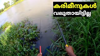 fishing malayalam  karimeen fishing  Maneesh Fish hunting channel [upl. by Lewiss]