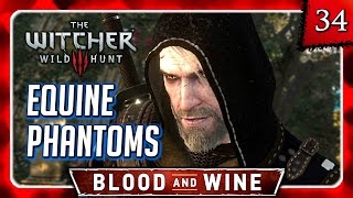 Witcher 3 🌟 BLOOD AND WINE 🌟 Equine Phantoms  The Umbra Spirit also Roach Speaks 34 [upl. by Naxor]