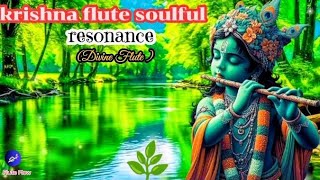 Meditative Bliss Soulful Krishna Flute Music for Inner Peace 🎶🧘🌿 [upl. by Doty]