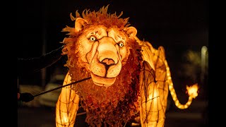 Lion Lantern Puppet [upl. by Greene]