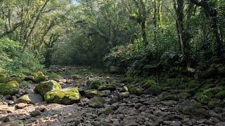 Na trilha dos Tropeiros da Serra do Realengo 31 [upl. by Peckham]